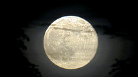 130623_0844_SX50 Super Moon Rising on June 23, 2013