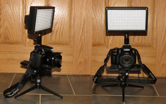 Canon SX50 with LED Light Panel