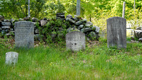 230508_08492_A7RIV Zar Cemetery at Westmoreland Sanctuary
