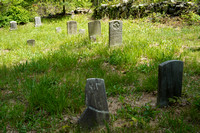 230508_08493_A7RIV Zar Cemetery at Westmoreland Sanctuary
