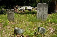 230508_08501_A7RIV Zar Cemetery at Westmoreland Sanctuary