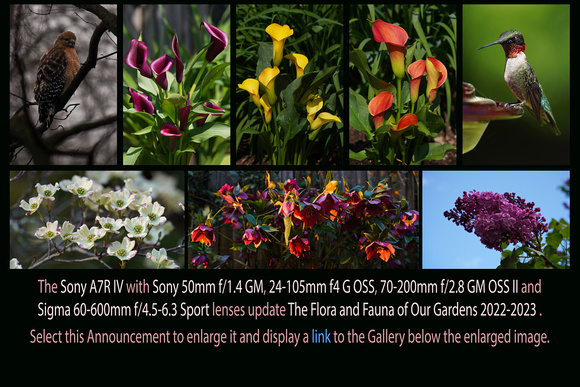 Feb 21 to May 09, 2023: The Flora and Fauna of Our Gardens 2022-2023