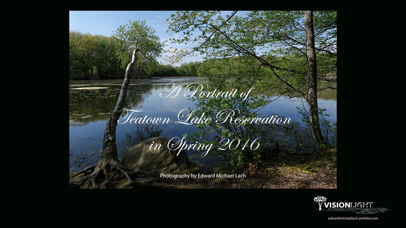 Teatown Exhibit Plate 00 - A Portrait of Teatown in Spring 2016