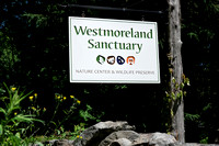 160614_1607_NX1 Welcome to Westmoreland Sanctuary in Westchester NY