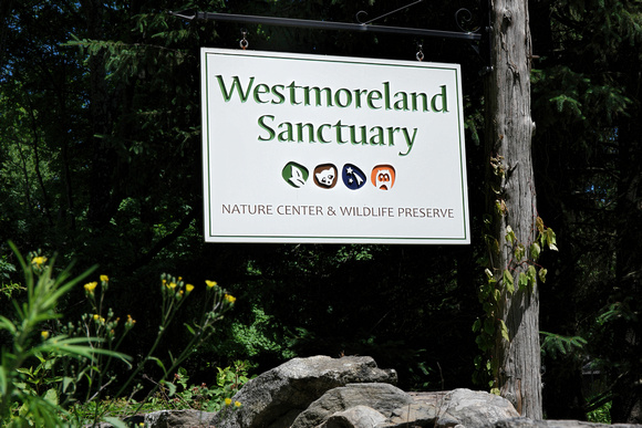 160614_1607_NX1 Welcome to Westmoreland Sanctuary in Westchester NY