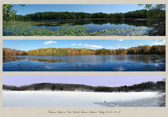 2016-2017 Teatown Lake Panoramas