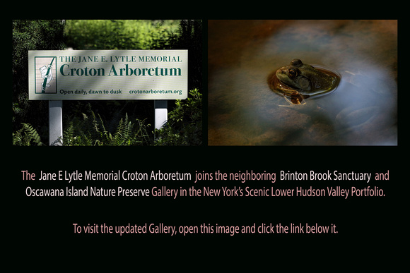 Jul 27, 2017: Brinton Brook, Oscawana Island and Croton Arboretum
