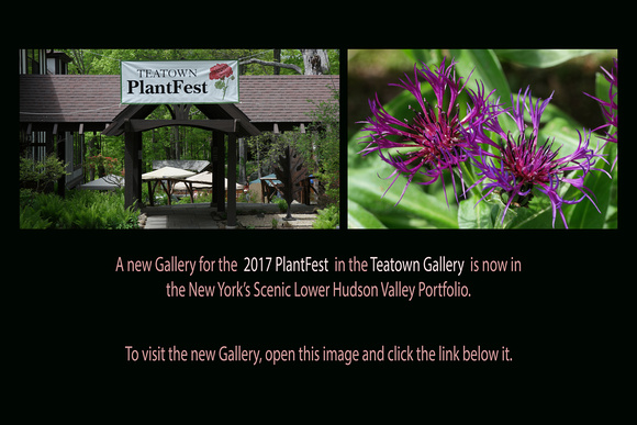 May 12, 2017: Teatown's 2017 PlantFest
