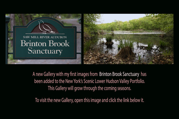 May 09, 2017: Brinton Brook Sanctuary