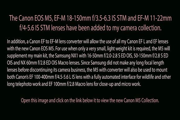 Dec 25, 2016: Canon EOS M5