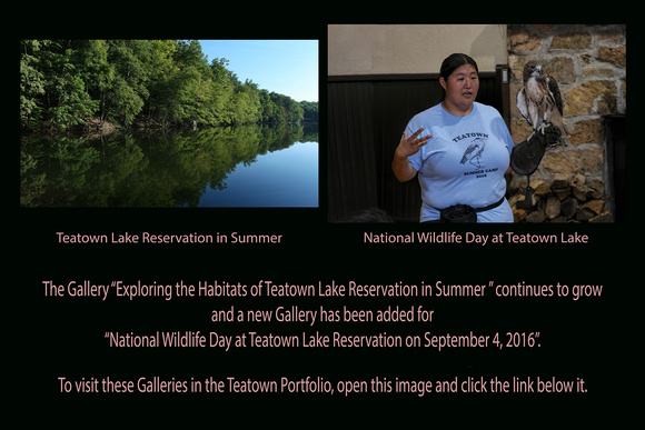 Sep 04, 2016: Teatown Lake Reservation