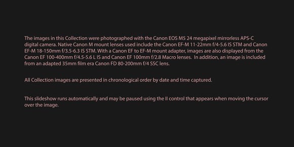 170101 Canon EOS M5 2017