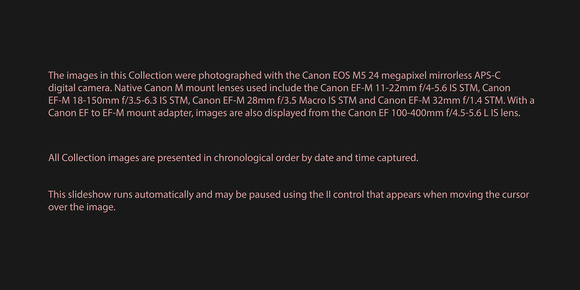 180101 Canon EOS M5 2018
