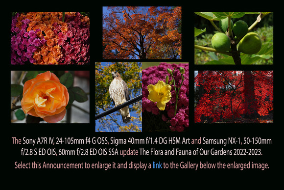 Oct 01 to Nov 19, 2023: The Flora and Fauna of Our Gardens 2022-2023