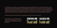 190312 Sigma 60-600mm f/4.5-6.3 DG OS HSM Sport on Canon EOS M5