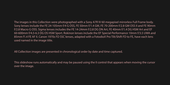 240101 Sony A7R IV 2024