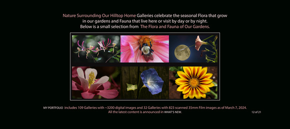 2024_12 Homepage Home Flora