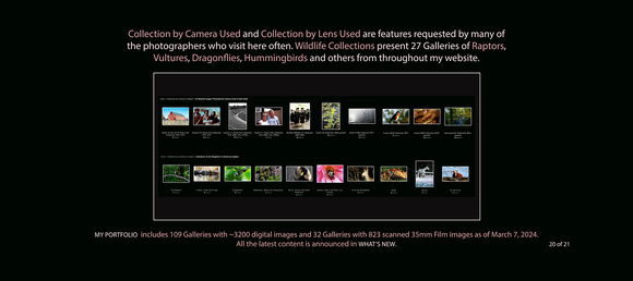 2024_20 Homepage Collections