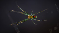 180817_3885_NX1 A Mabel Orchard Spider, Leucauge mabelae, in the Virginia Gardens