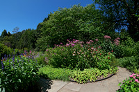 190811_4478_NX1 The Summer Gardens at Pruyn Sanctuary