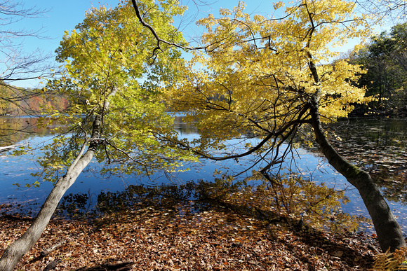 161031_2568_NX1 The Last Colors of Autumn on Teatown Lake