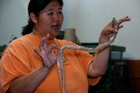 160605_1528_NX1 Environmental Educator Elissa Schilmeister Talks about Snakes Shedding their Skin at Teatown's Reptile Round-Up