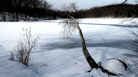 170109_2790_NX1 Winter on Teatown Lake