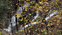 131015_1412_SX50 Climbing Kent Falls in Autumn IV