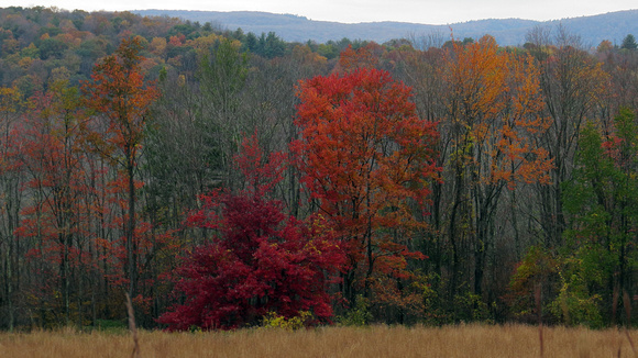 131015_1475_SX50 Autumn along Route 7 in Connecticut