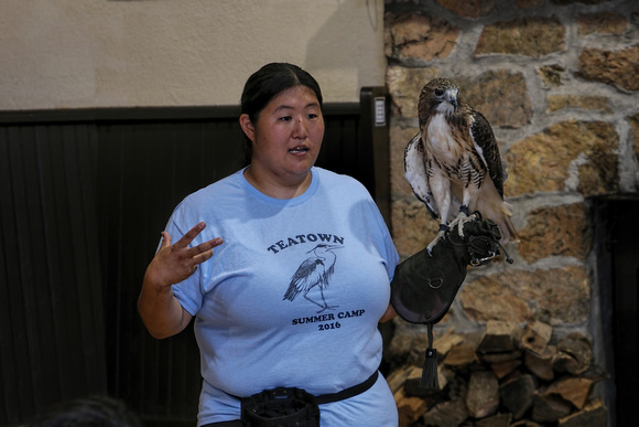 160904_2271_NX1 Teatown Environmental Educator Elissa Schilmeister with Blaze, a Female Redtail Hawk on National Wildlife Day