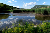 170609_3126_NX1 Marshlands in Spring at the Hudson River's Iona Island with the Bear Mountain Bridge and Anthony's Nose in the Background