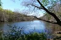 160427_1213_NX1 Vernay Lake in Early Spring at Teatown