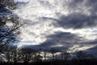 200317_01687_A7RIV The Late Winter Sun Breaks through Rain Clouds at Rockefeller Preserve