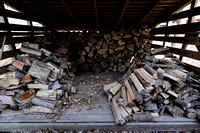 170223_0480_EOS M5 Fuel in the Woodshed for the Maple Sugaring Process at Teatown is Provided through Nature's Cycle of Life