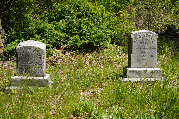 230508_08500_A7RIV Zar Cemetery at Westmoreland Sanctuary