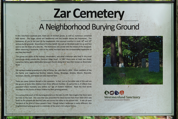 230508_08490_A7RIV Zar Cemetery at Westmoreland Sanctuary