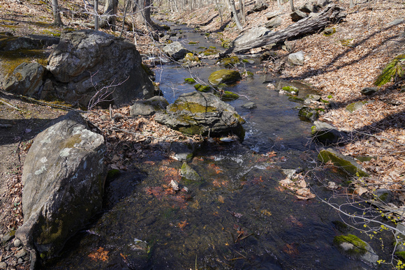 230410_08110_A7RIV The Stream in Early Spring at Whippoorwill Park in the Town of New Castle