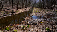 230410_08112_A7RIV The Stream in Early Spring at Whippoorwill Park in the Town of New Castle