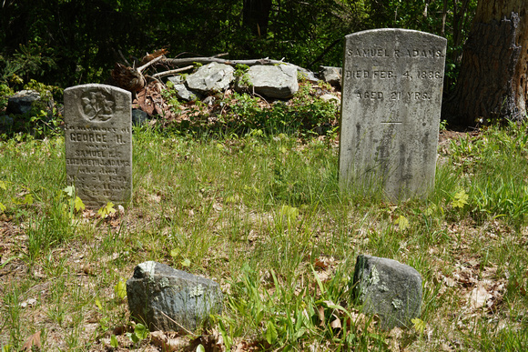 230508_08501_A7RIV Zar Cemetery at Westmoreland Sanctuary