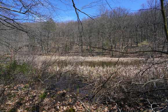 230410_08096_A7RIV The Lake in Early Spring at Whippoorwill Park in the Town of New Castle