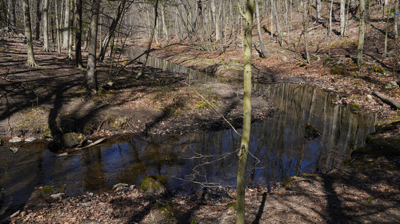 230410_08117_A7RIV The Stream in Early Spring at Whippoorwill Park in the Town of New Castle