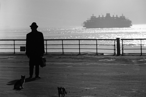 750200_0001_F1 A Business Man Misses His Ferry at Battery Park in NYC