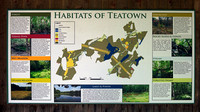 160520_1297_NX1 The Habitats of Teatown