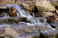 220411_06402_A7RIV Spring Streams Feed Swan Lake at Rockefeller Preserve
