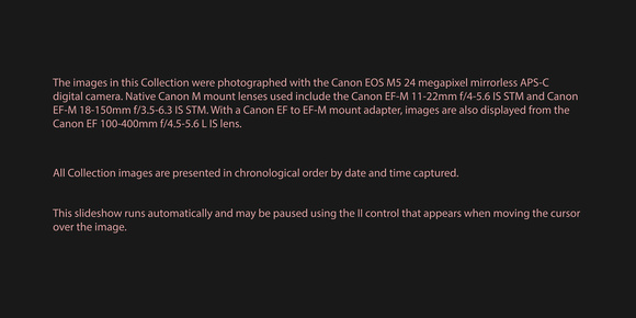 161217 Canon EOS M5 2016