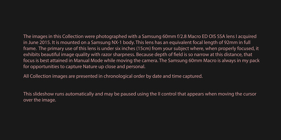 150622 Samsung 60mm f/2.8 Macro ED OIS SSA on Samsung NX-1