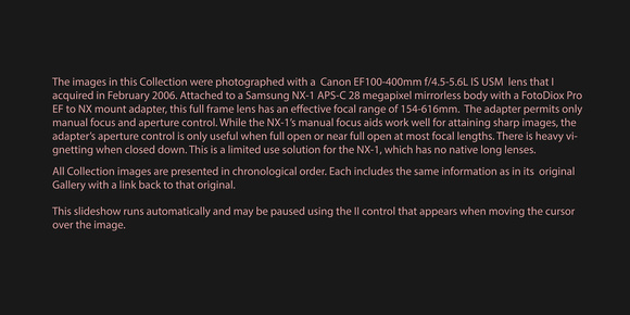 060228 Canon EF100-400mm f/4.5-5.6L IS USM on Samsung NX-1