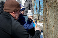 190216_4263_NX1 The Santevecchi Family Taps Their Adopted Maple Tree for Sugaring Season at Westmoreland Sanctuary