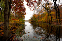 191030_00542_A7RIV Swan Lake at Rockefeller Preserve in a Light Autumn Rain