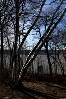 170113_0141_EOS M5 Croton Point in Early Winter 2017